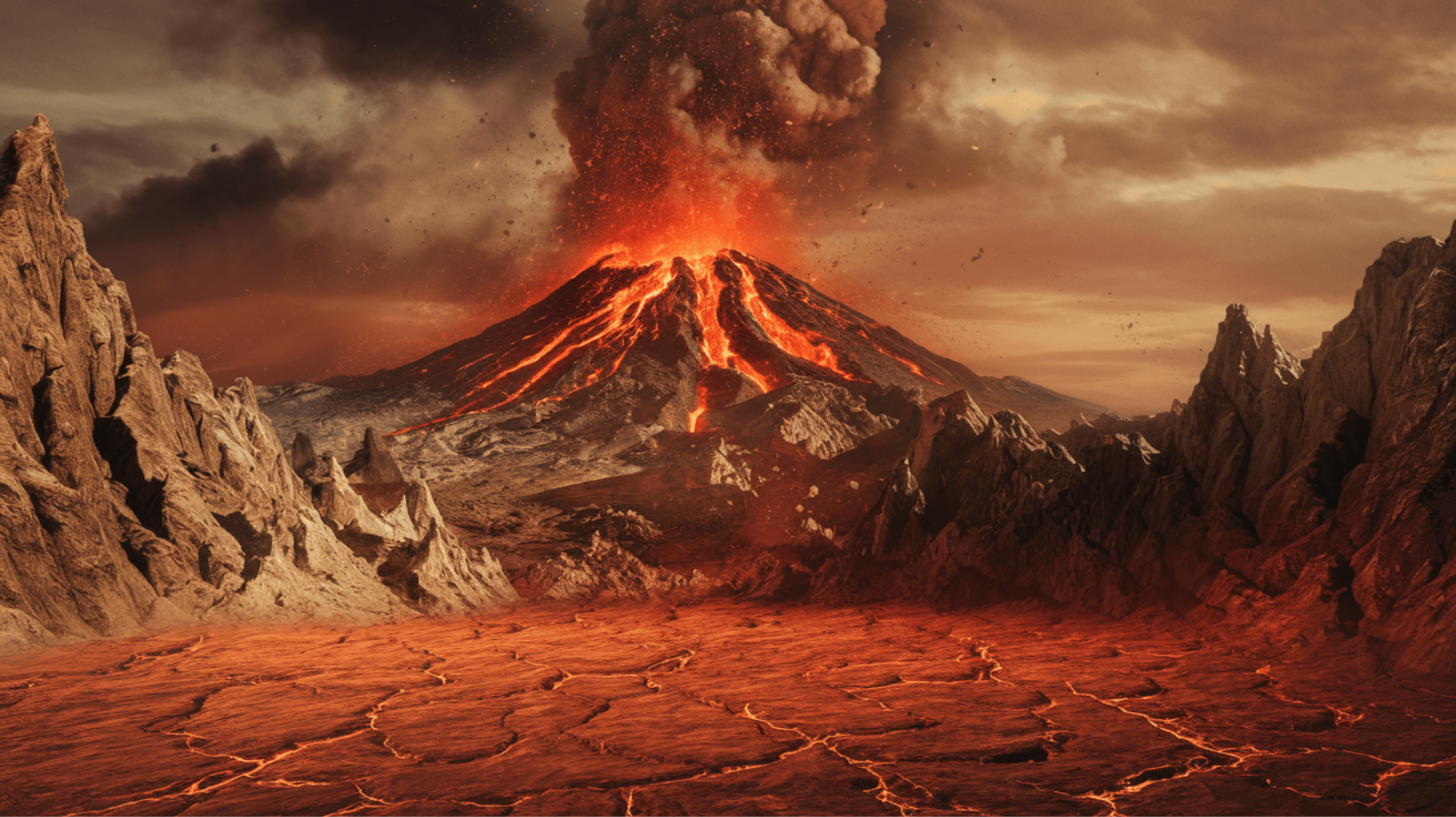 background image for section 5